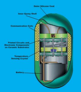 thermometer