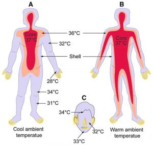 Temperature based on body parts