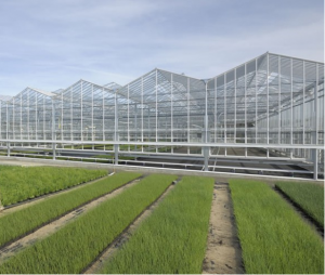 Home environmental humidity meter and greenhouse use