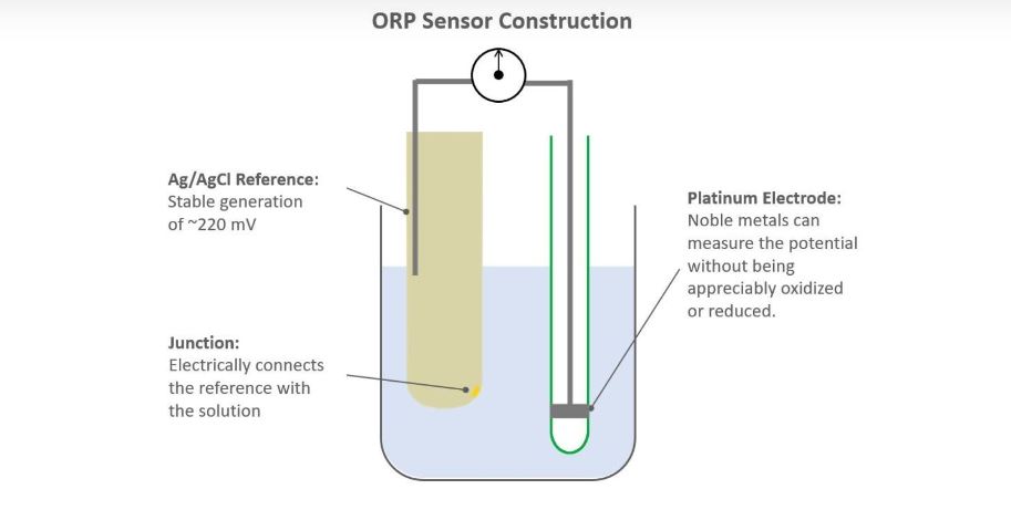 How Do ORP Sensors Work