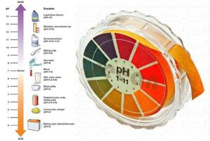 ph چیست و اندازه گیری پی اچ