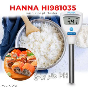 مشخصات فنی پی اچ متر برنج سوشی مدل HANNA HI981035