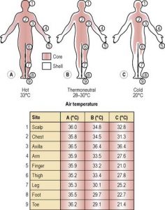 اندازه گیری دمای بدن