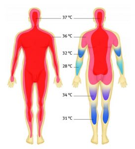 دما بر اساس اندام بدن